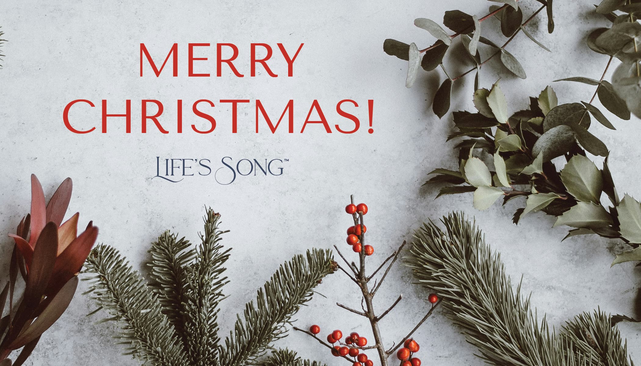 LifeSong gift card design 21