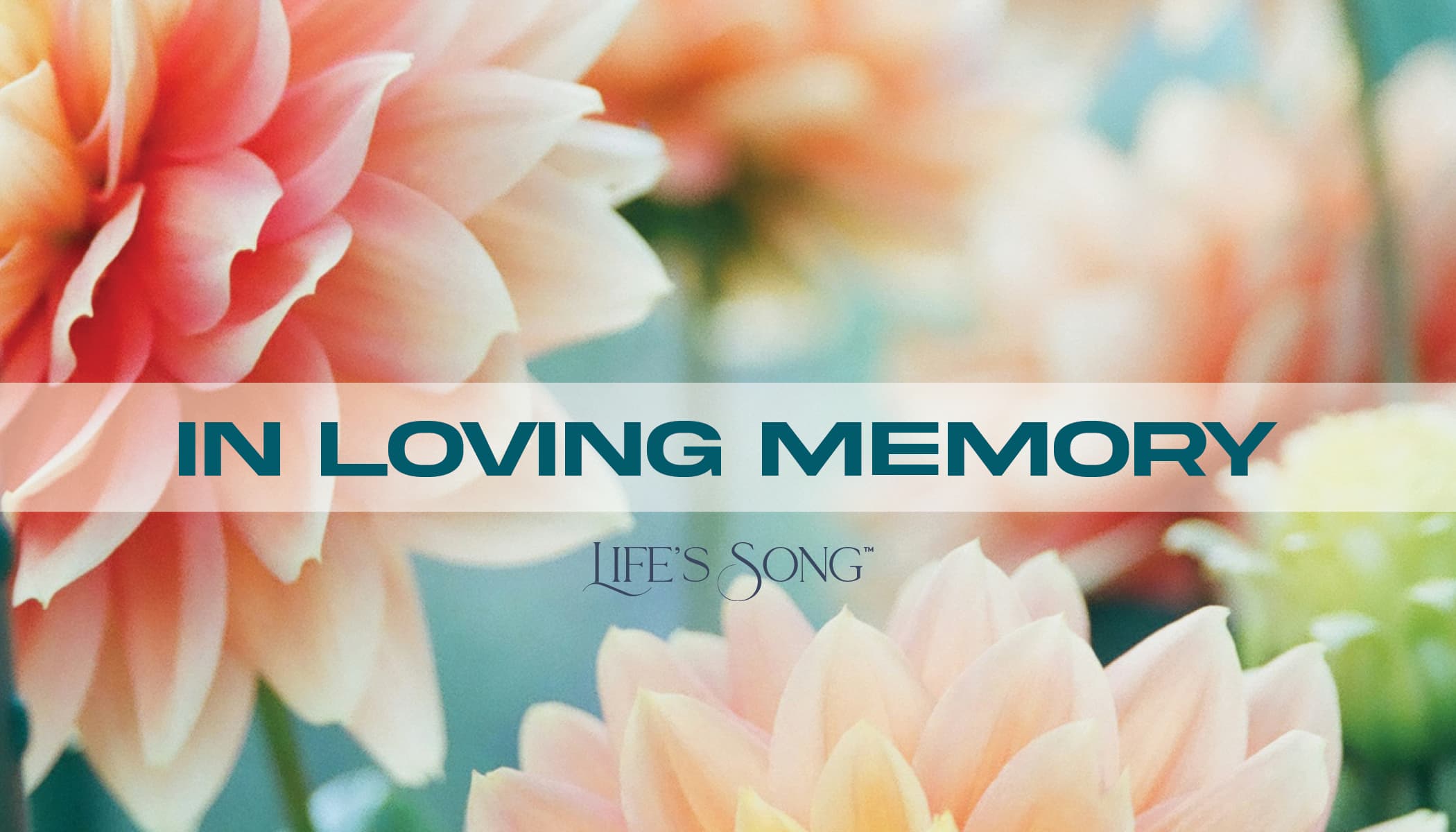 LifeSong gift card design 5