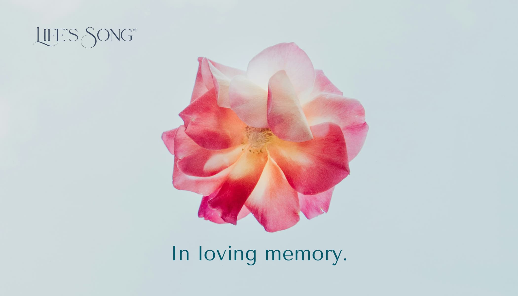 LifeSong gift card design 7